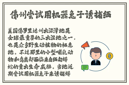 b站水王事件